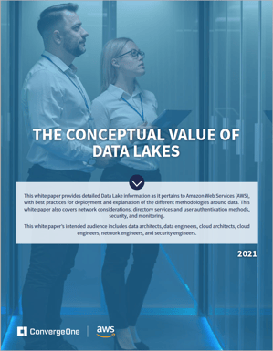 The Conceptual Value of Data Lakes White Paper Cover